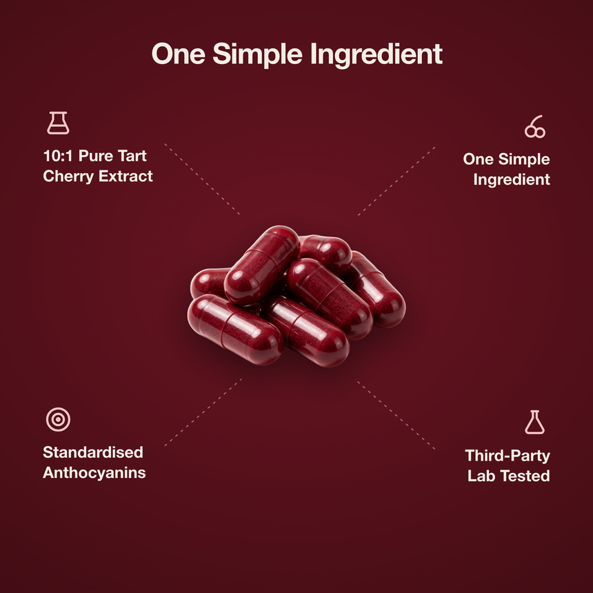 Ravea Tart Cherry Extract 3,600mg — Joint, Uric Acid & Sleep Support
