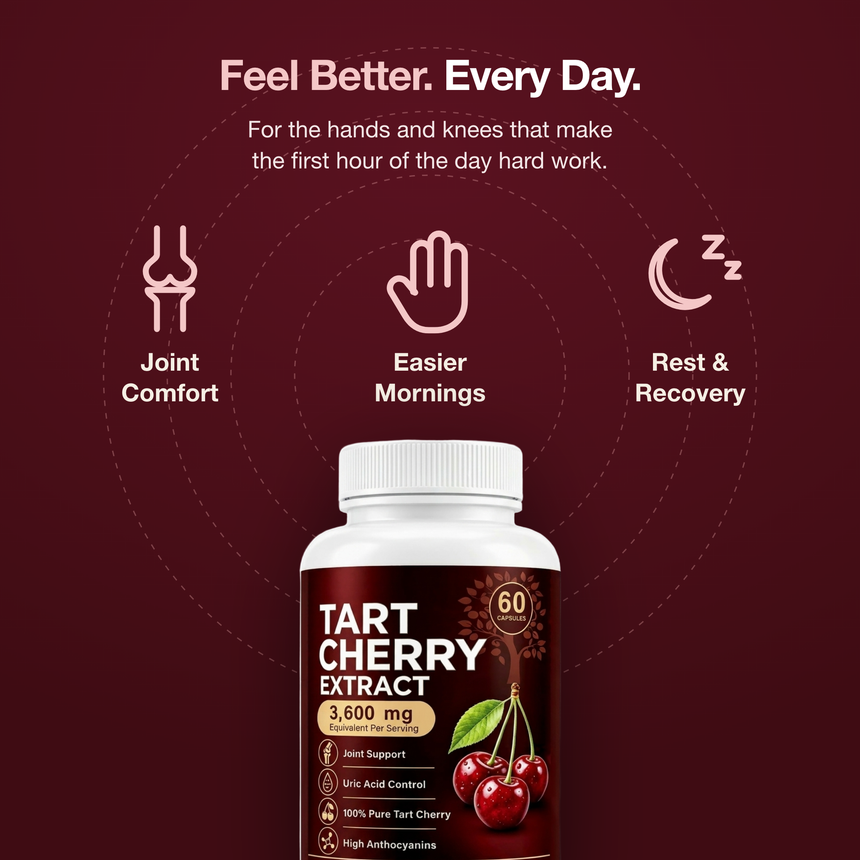 Ravea Tart Cherry Extract 3,600mg — Joint, Uric Acid & Sleep Support